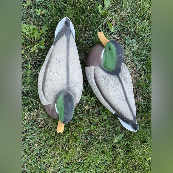 Greenhead Gear Hunting Plastic Floating Duck Mallard Decoys - Picture 9 of 13